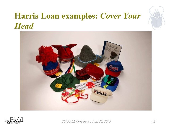 Harris Loan examples: Cover Your Head 2005 ALA Conference June 25, 2005 19 
