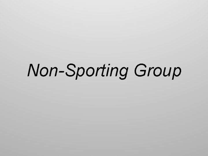 Non-Sporting Group 