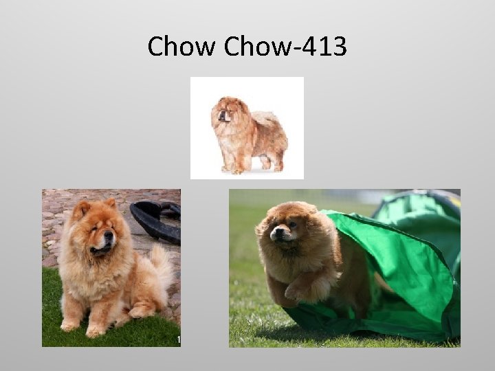 Chow-413 