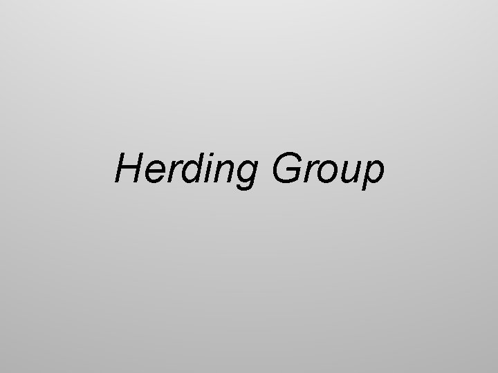 Herding Group 