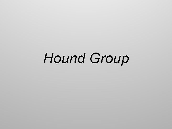 Hound Group 