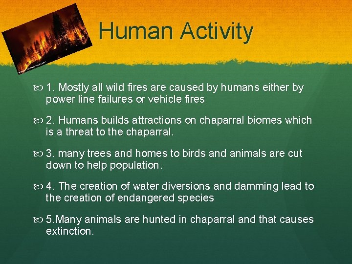 Human Activity 1. Mostly all wild fires are caused by humans either by power
