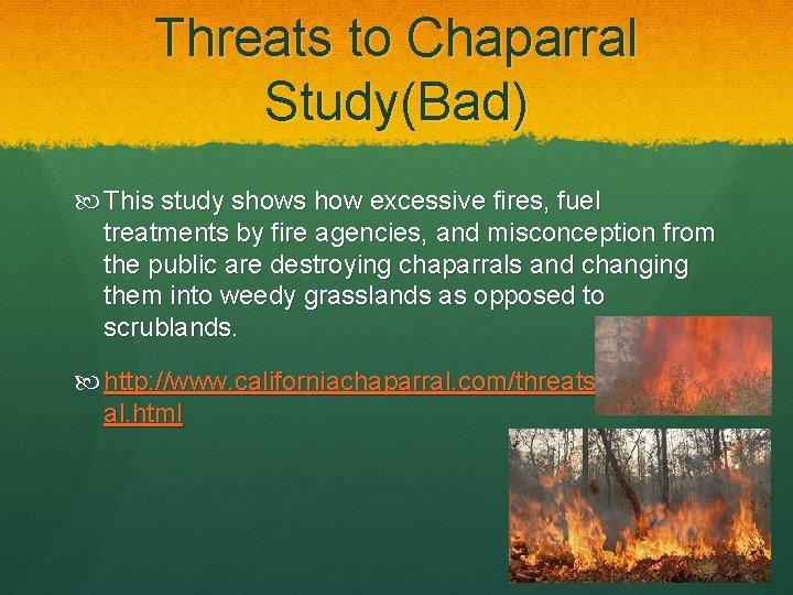 Threats to Chaparral Study(Bad) This study shows how excessive fires, fuel treatments by fire