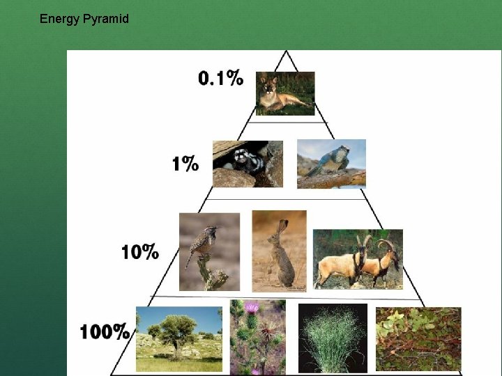 Energy Pyramid 