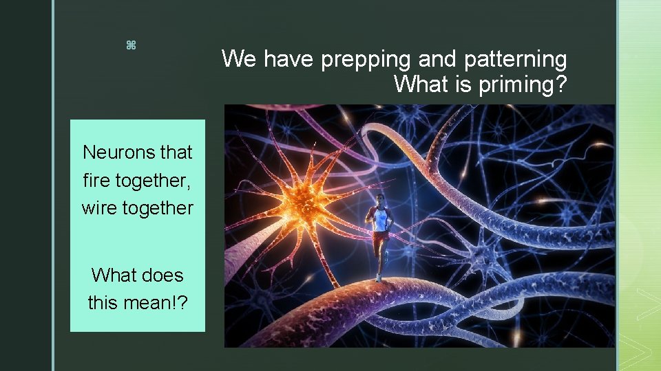 z Neurons that fire together, wire together What does this mean!? We have prepping