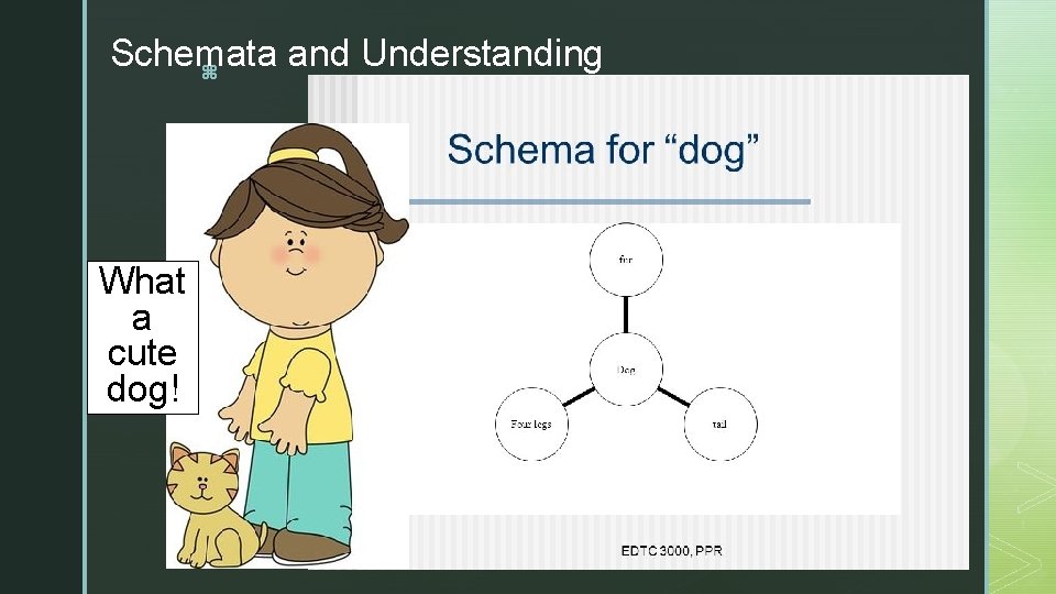 Schemata and Understanding z What a cute dog! Click to add text 