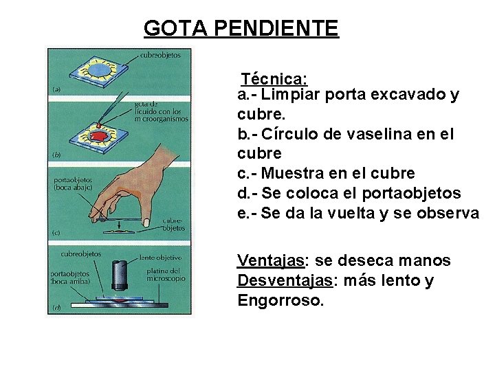 GOTA PENDIENTE Técnica: a. - Limpiar porta excavado y cubre. b. - Círculo de