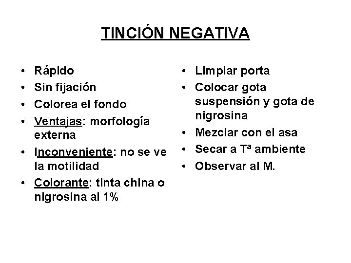 TINCIÓN NEGATIVA • • Rápido Sin fijación Colorea el fondo Ventajas: morfología externa •