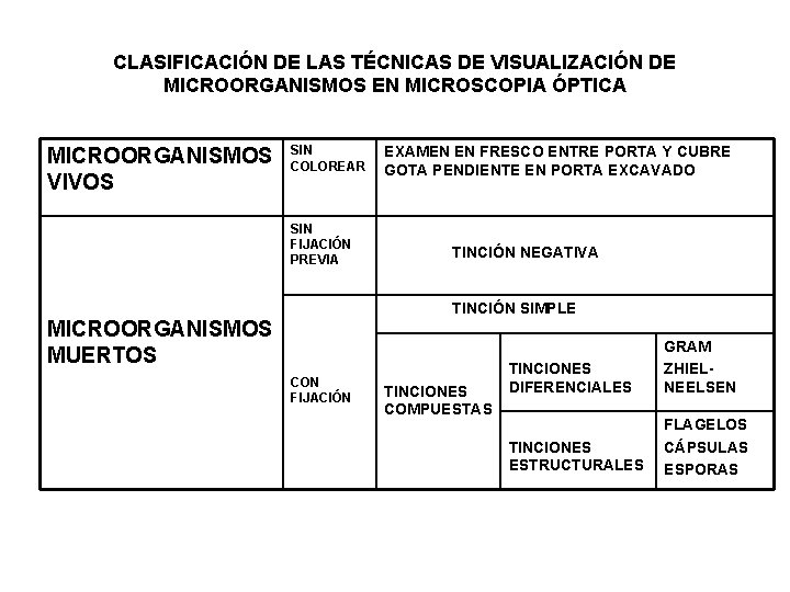 CLASIFICACIÓN DE LAS TÉCNICAS DE VISUALIZACIÓN DE MICROORGANISMOS EN MICROSCOPIA ÓPTICA MICROORGANISMOS VIVOS SIN