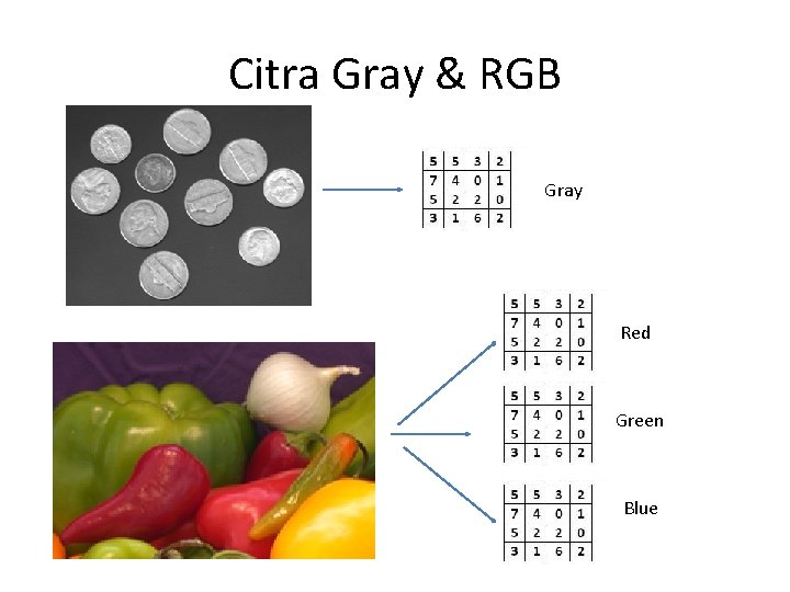 Citra Gray & RGB Gray Red Green Blue 