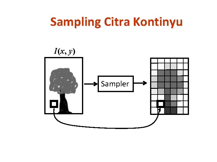 Sampling Citra Kontinyu I(x, y) Sampler 
