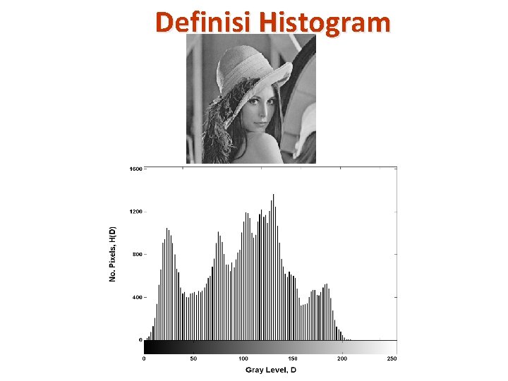 Definisi Histogram 