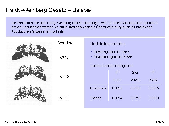 Hardy-Weinberg Gesetz – Beispiel die Annahmen, die dem Hardy-Weinberg Gesetz unterliegen, wie z. B.