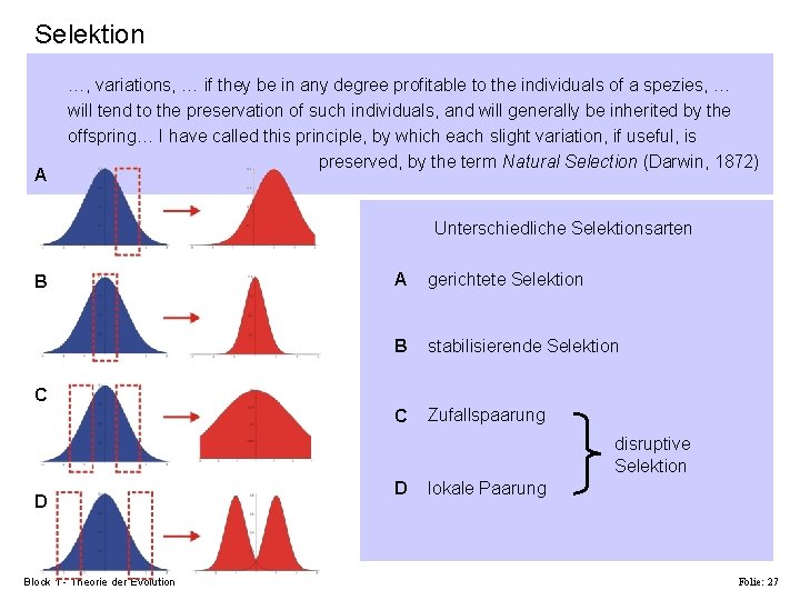 Selektion A …, variations, … if they be in any degree profitable to the