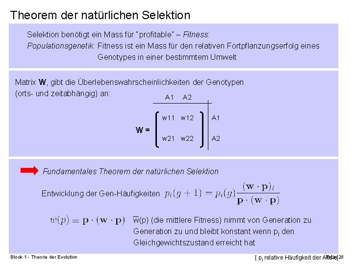 Theorem der natürlichen Selektion benötigt ein Mass für “profitable” – Fitness: Populationsgenetik: Fitness ist