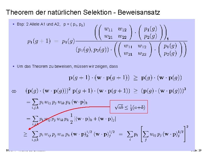Theorem der natürlichen Selektion - Beweisansatz § Bsp: 2 Allele A 1 und A