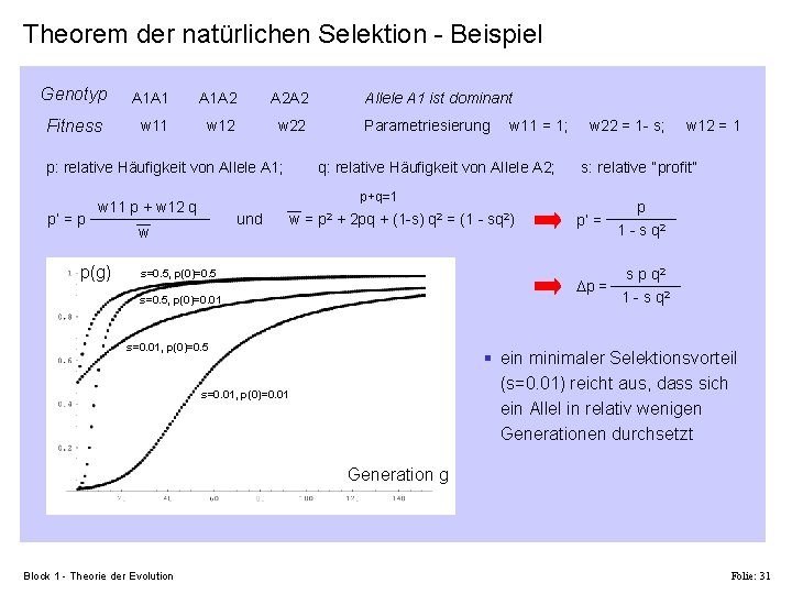 Theorem der natürlichen Selektion - Beispiel Genotyp A 1 A 1 A 1 A