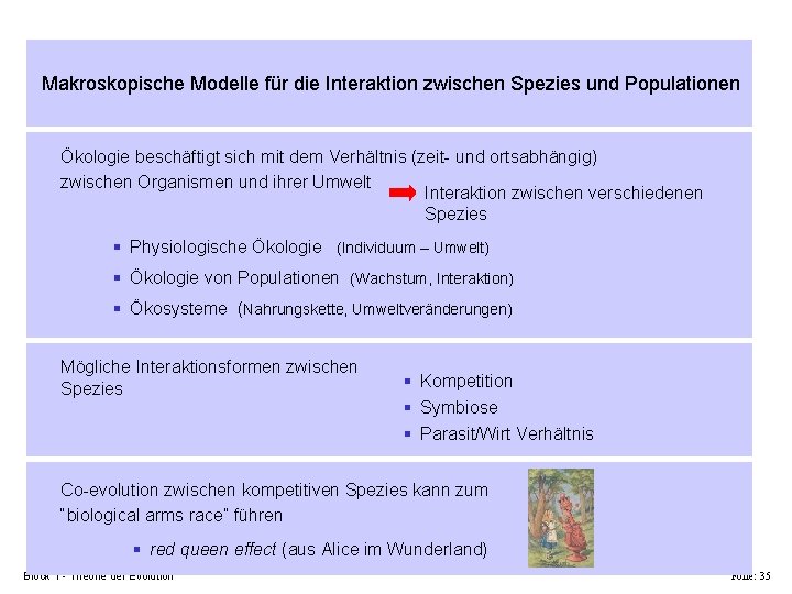 Makroskopische Modelle für die Interaktion zwischen Spezies und Populationen Ökologie beschäftigt sich mit dem