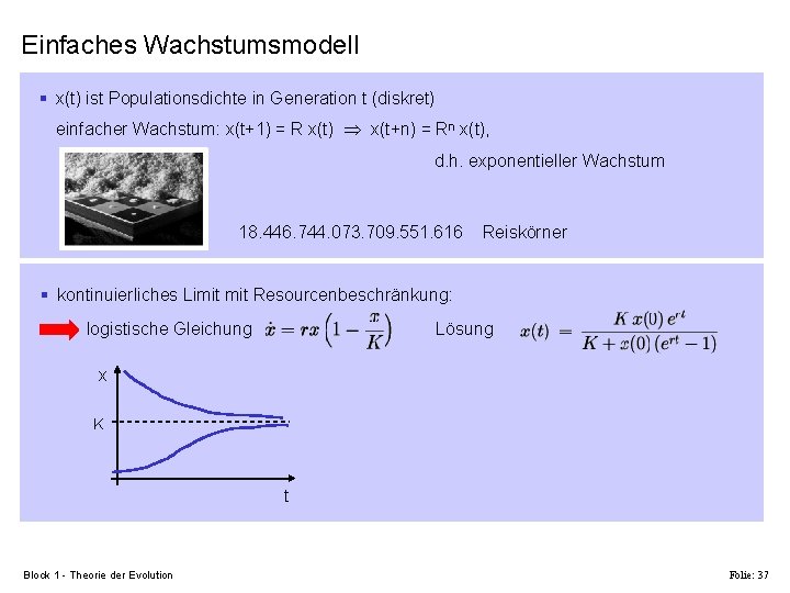 Einfaches Wachstumsmodell § x(t) ist Populationsdichte in Generation t (diskret) einfacher Wachstum: x(t+1) =