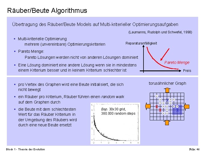 Räuber/Beute Algorithmus Übertragung des Räuber/Beute Models auf Multi-kriterieller Optimierungsaufgaben (Laumanns, Rudolph und Schwefel, 1998)