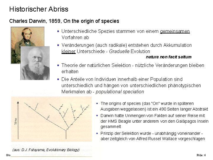 Historischer Abriss Charles Darwin, 1859, On the origin of species § Unterschiedliche Spezies stammen