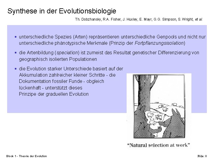 Synthese in der Evolutionsbiologie Th. Dobzhansky, R. A. Fisher, J. Huxley, E. Mayr, G.