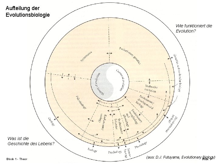 Aufteilung der Evolutionsbiologie Wie funktioniert die Evolution? Was ist die Geschichte des Lebens? Block
