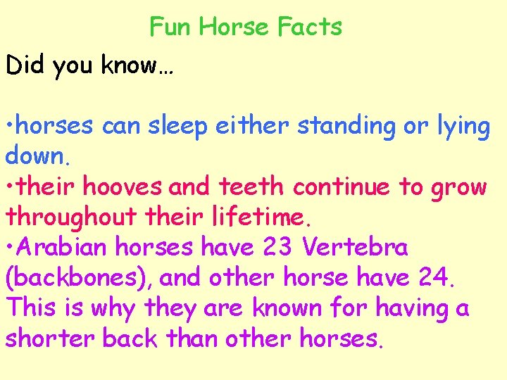 Fun Horse Facts Did you know… • horses can sleep either standing or lying