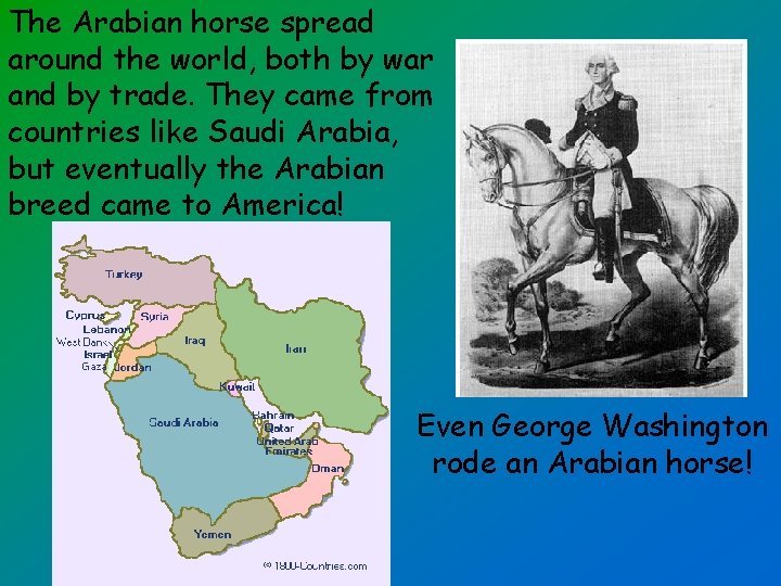 The Arabian horse spread around the world, both by war and by trade. They