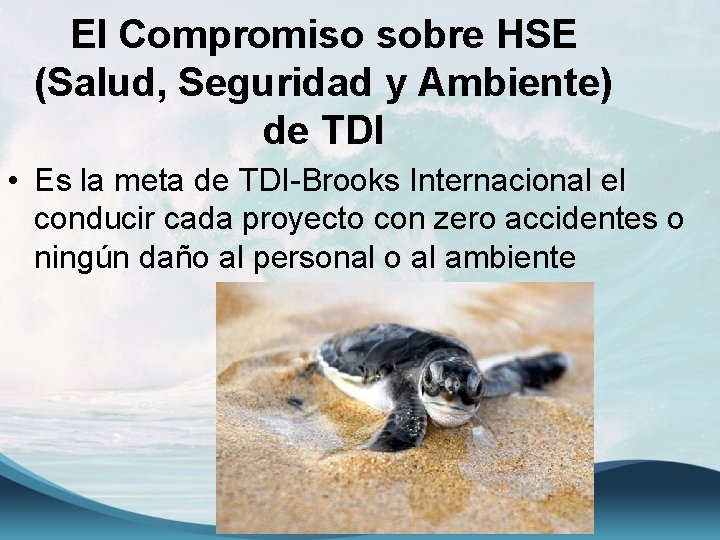 El Compromiso sobre HSE (Salud, Seguridad y Ambiente) de TDI • Es la meta