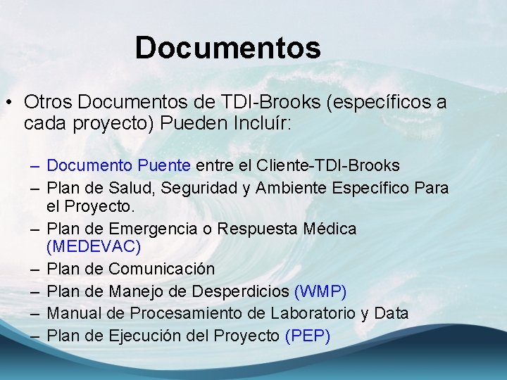 Documentos • Otros Documentos de TDI-Brooks (específicos a cada proyecto) Pueden Incluír: – Documento