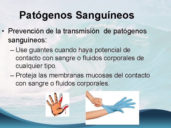 Patógenos Sanguíneos • Prevención de la transmisión de patógenos sanguíneos: – Use guantes cuando