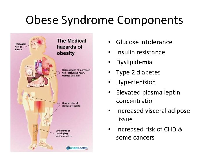 Obese Syndrome Components Glucose intolerance Insulin resistance Dyslipidemia Type 2 diabetes Hypertenision Elevated plasma