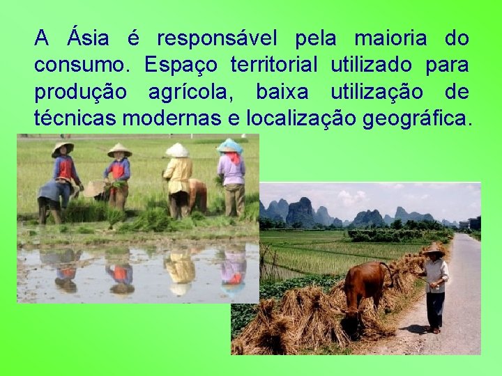 A Ásia é responsável pela maioria do consumo. Espaço territorial utilizado para produção agrícola,