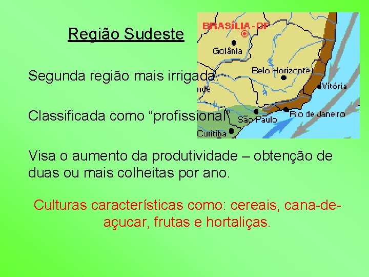 Região Sudeste Segunda região mais irrigada. Classificada como “profissional” Visa o aumento da produtividade