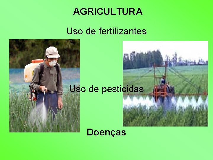 AGRICULTURA Uso de fertilizantes Uso de pesticidas Doenças 