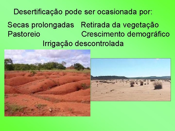 Desertificação pode ser ocasionada por: Secas prolongadas Retirada da vegetação Pastoreio Crescimento demográfico Irrigação