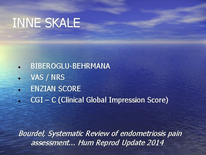 INNE SKALE BIBEROGLU-BEHRMANA VAS / NRS ENZIAN SCORE CGI – C (Clinical Global Impression