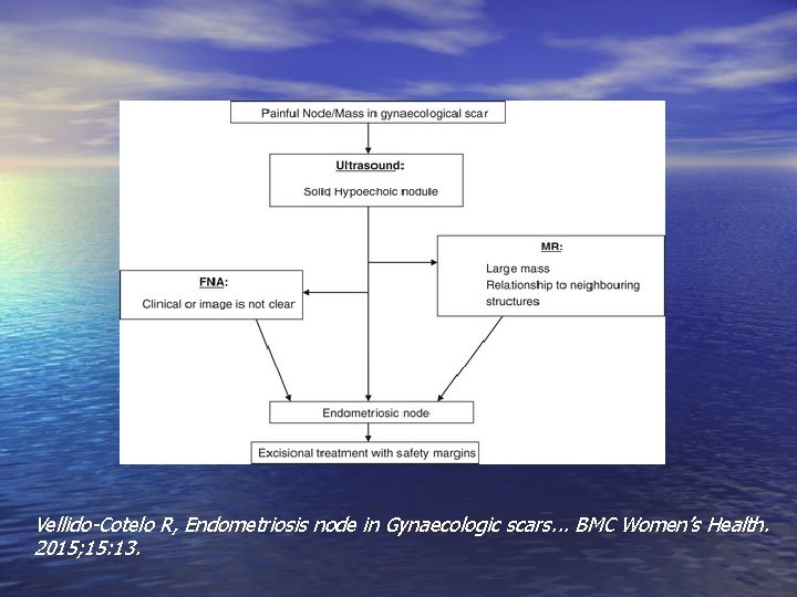 Vellido-Cotelo R, Endometriosis node in Gynaecologic scars. . . BMC Women’s Health. 2015; 15: