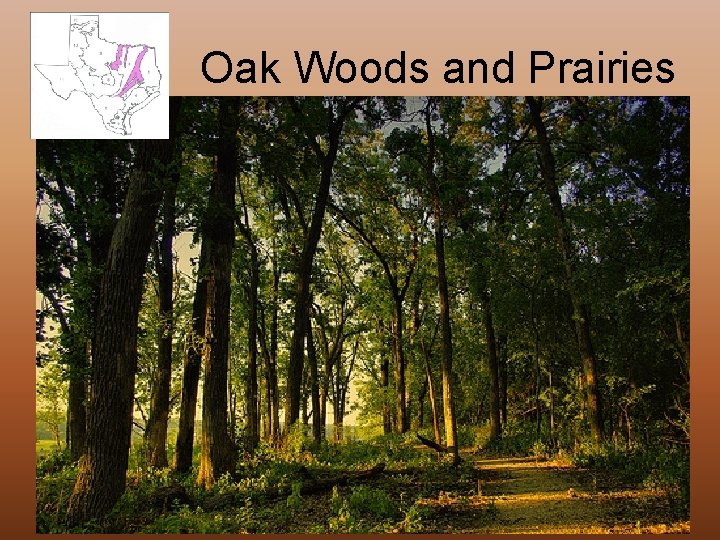 Oak Woods and Prairies 