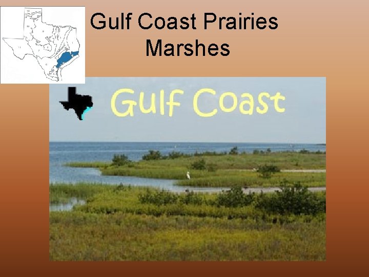 Gulf Coast Prairies Marshes 