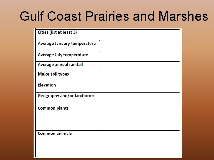 Gulf Coast Prairies and Marshes 