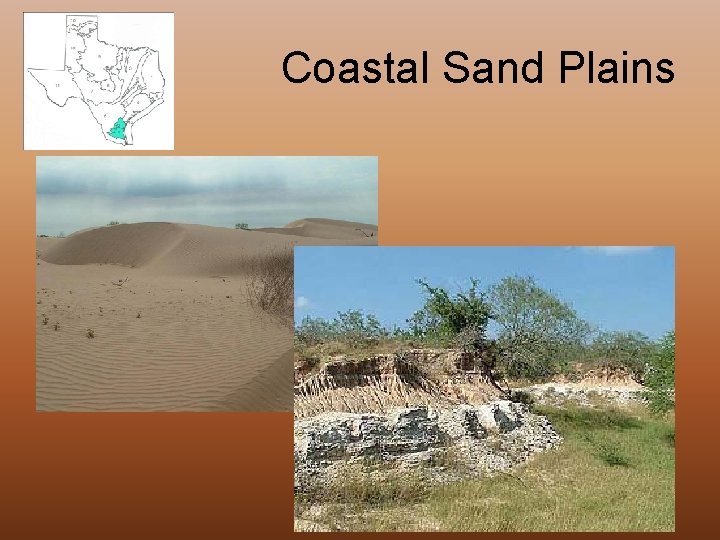 Coastal Sand Plains 