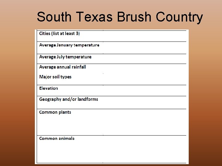 South Texas Brush Country 