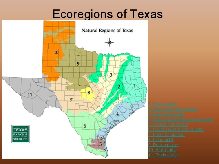 Ecoregions of Texas 1. Piney woods 2. Oak woods and prairies 3. Blackland prairie