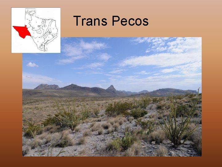 Trans Pecos 