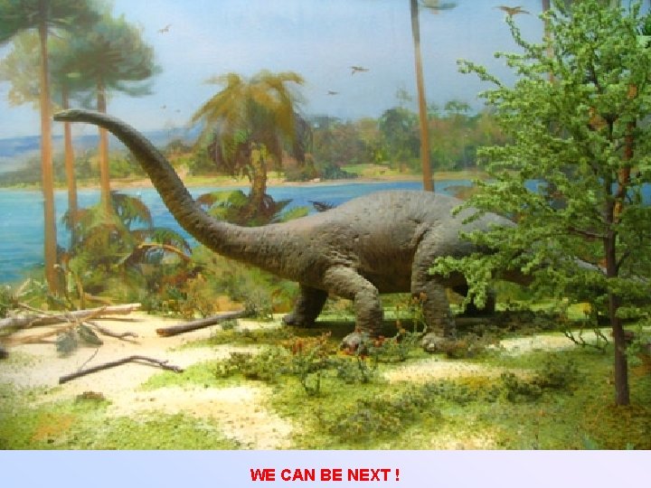 WE CAN BE NEXT ! 