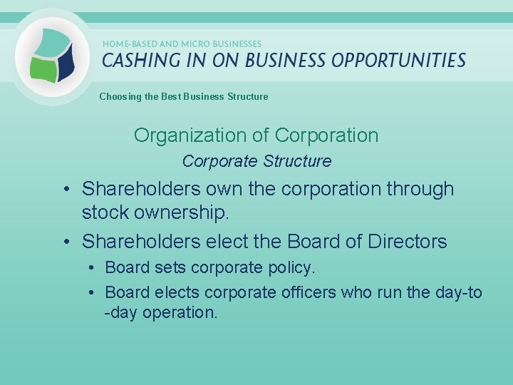 Choosing the Best Business Structure Organization of Corporation Corporate Structure • Shareholders own the