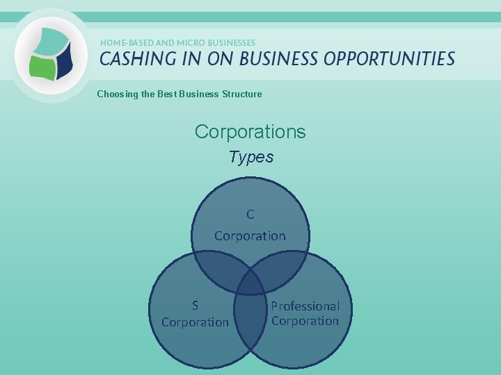 Choosing the Best Business Structure Corporations Types C Corporation S Corporation Professional Corporation 