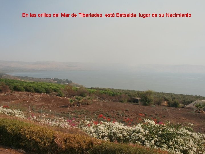 En las orillas del Mar de Tiberiades, está Betsaida, lugar de su Nacimiento 